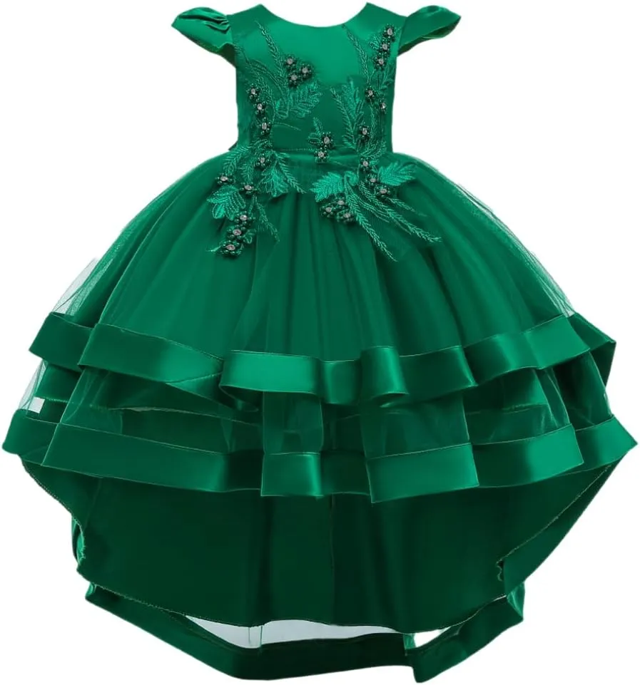 Girl Dress Embroidery Birthday Sleeveless Wedding Trail Puffy Tulle Layer Skirt Hem