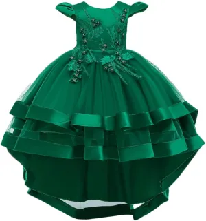 Girl Dress Embroidery Birthday Sleeveless Wedding Trail Puffy Tulle Layer Skirt Hem