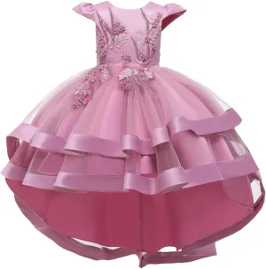 Girl Dress Embroidery Birthday Sleeveless Wedding Trail Puffy Tulle Layer Skirt Hem
